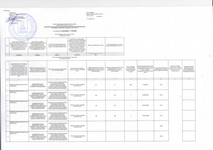 Отчет о выполнении государственного задания за отчетный период 01.01.2020-30.09.2020